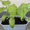 Thumbnail of related posts 018