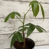 Thumbnail of related posts 192