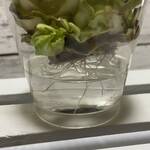 Thumbnail of post image 012